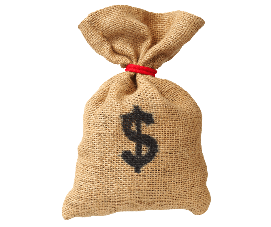 money bag