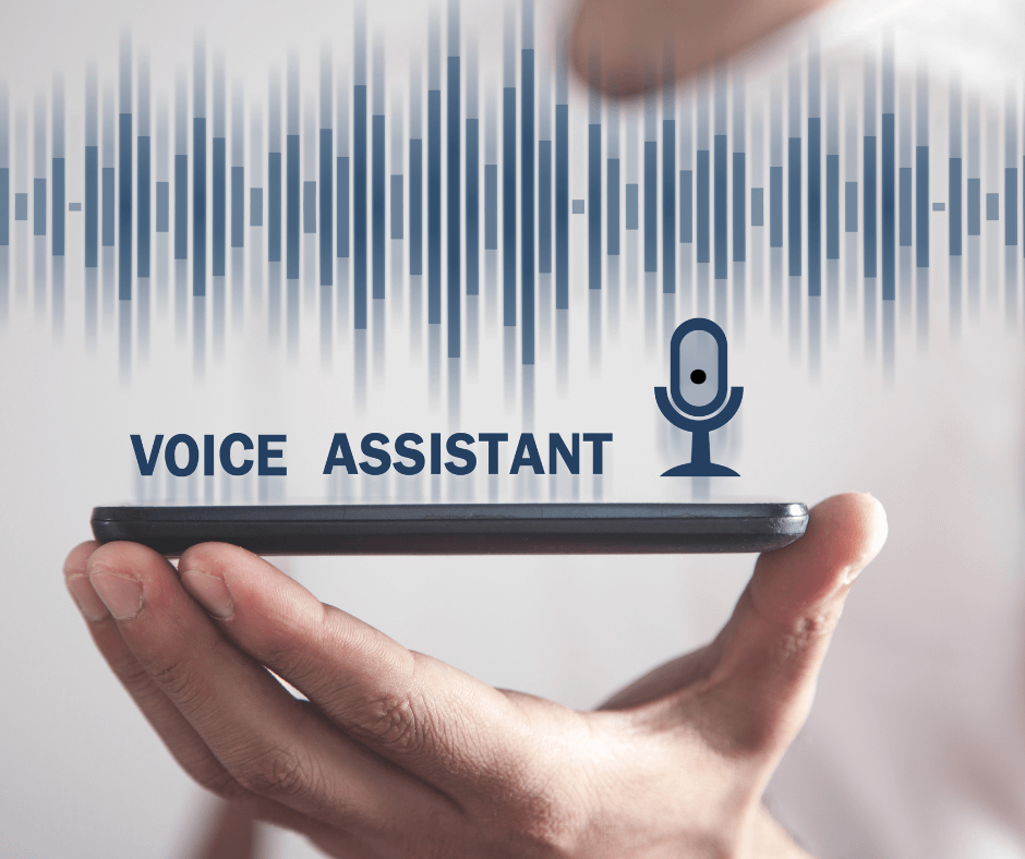 voice assistant